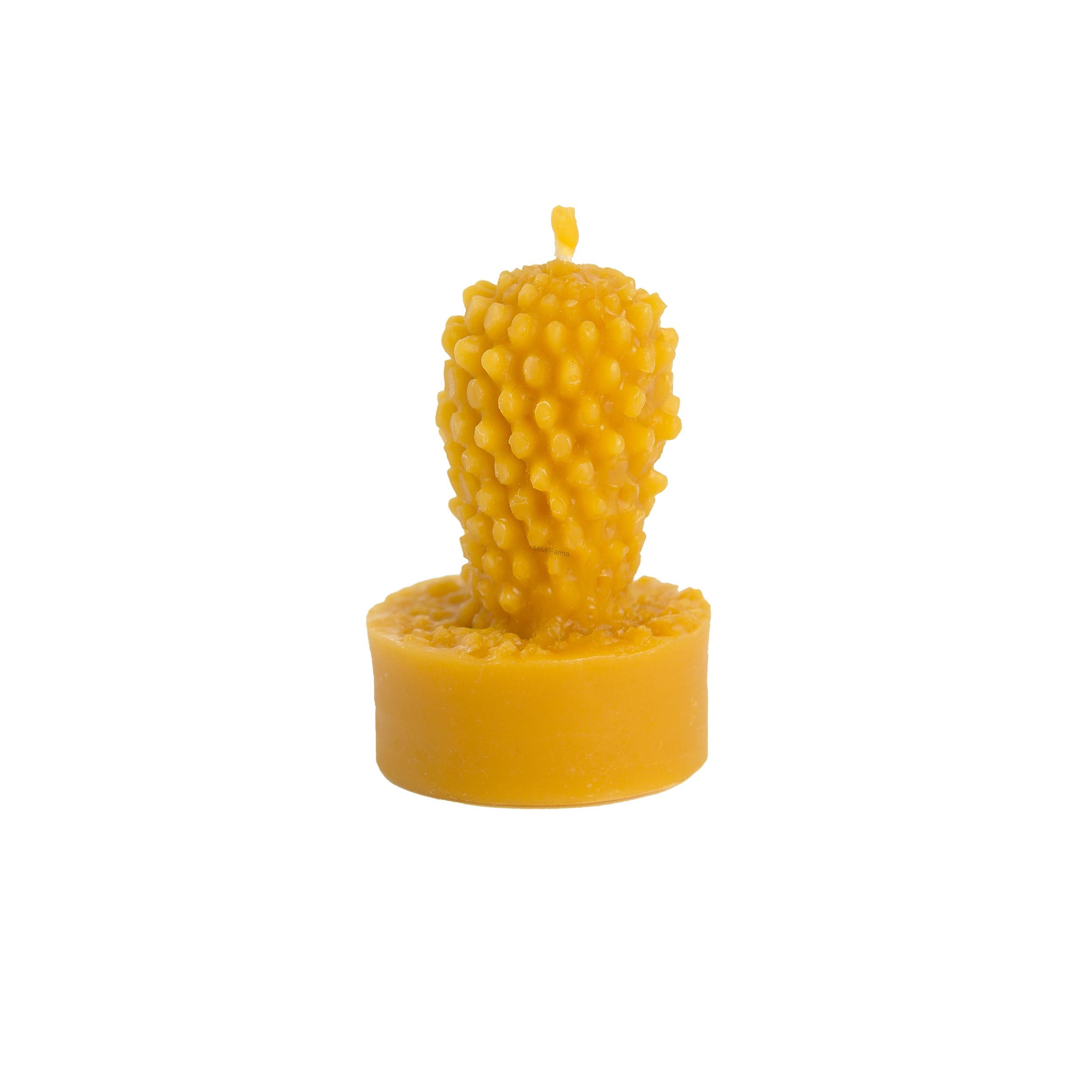 Čajová sviečka zo včelieho vosku  - kaktus v pliešku